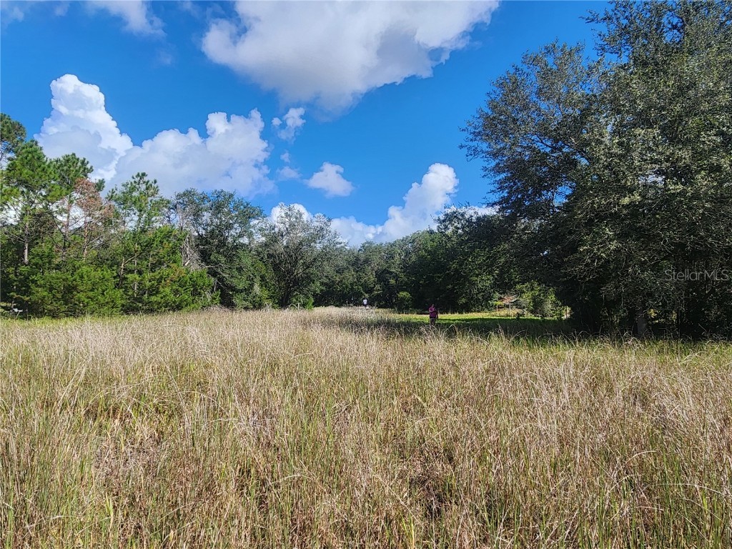 217 Lakeview Drive Melrose FL 32666 - HALFMOON LAKE OM710654 image3