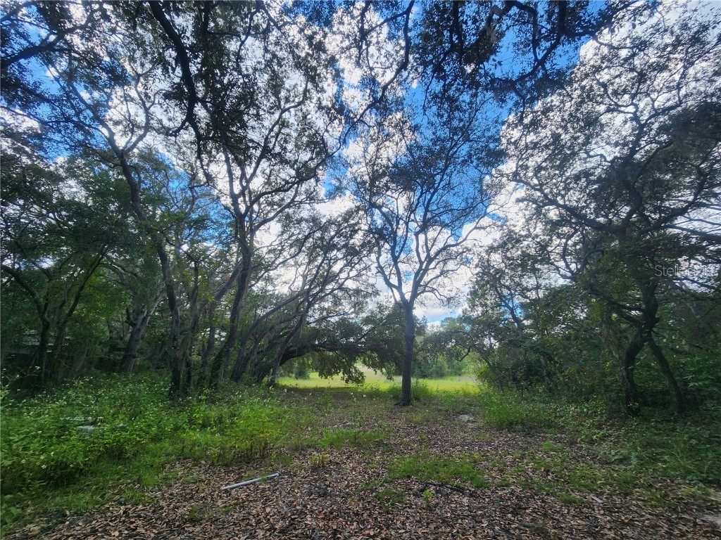 217 Lakeview Drive Melrose FL 32666 - HALFMOON LAKE OM710654 image5