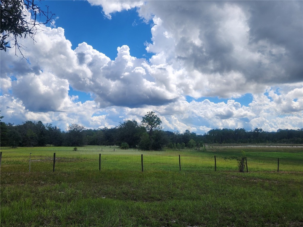 217 Lakeview Drive Melrose FL 32666 - HALFMOON LAKE OM710654 image6