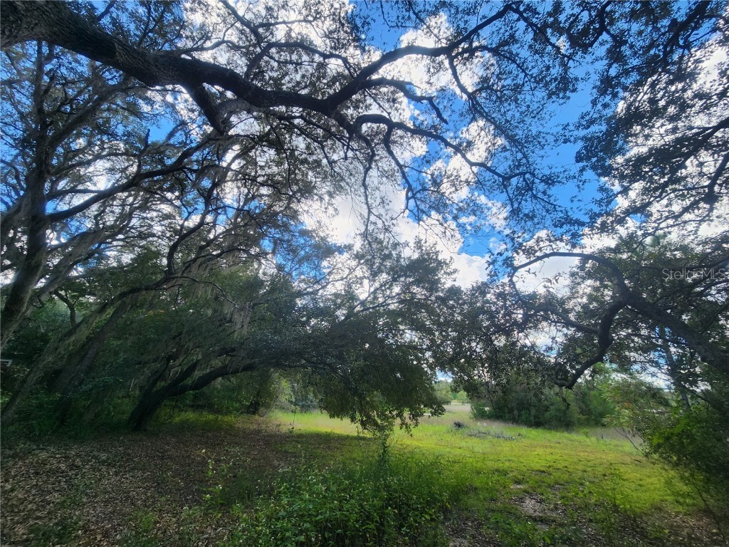 217 Lakeview Drive Melrose FL 32666 - HALFMOON LAKE OM710654 image7