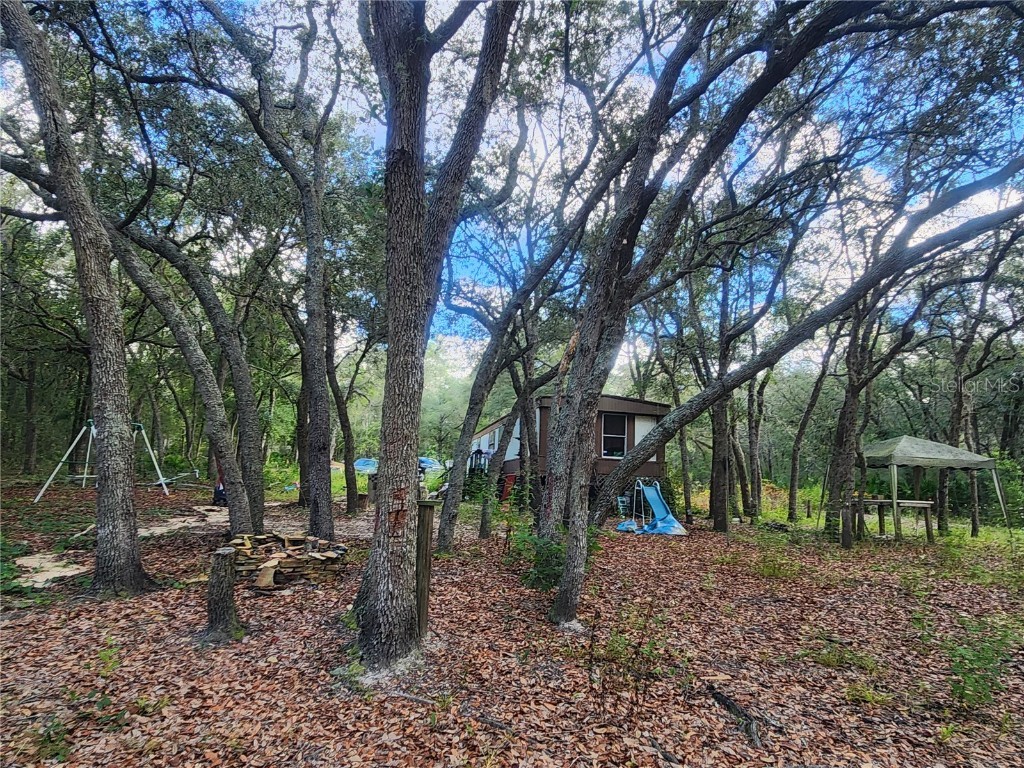 217 Lakeview Drive Melrose FL 32666 - HALFMOON LAKE OM710654 image8