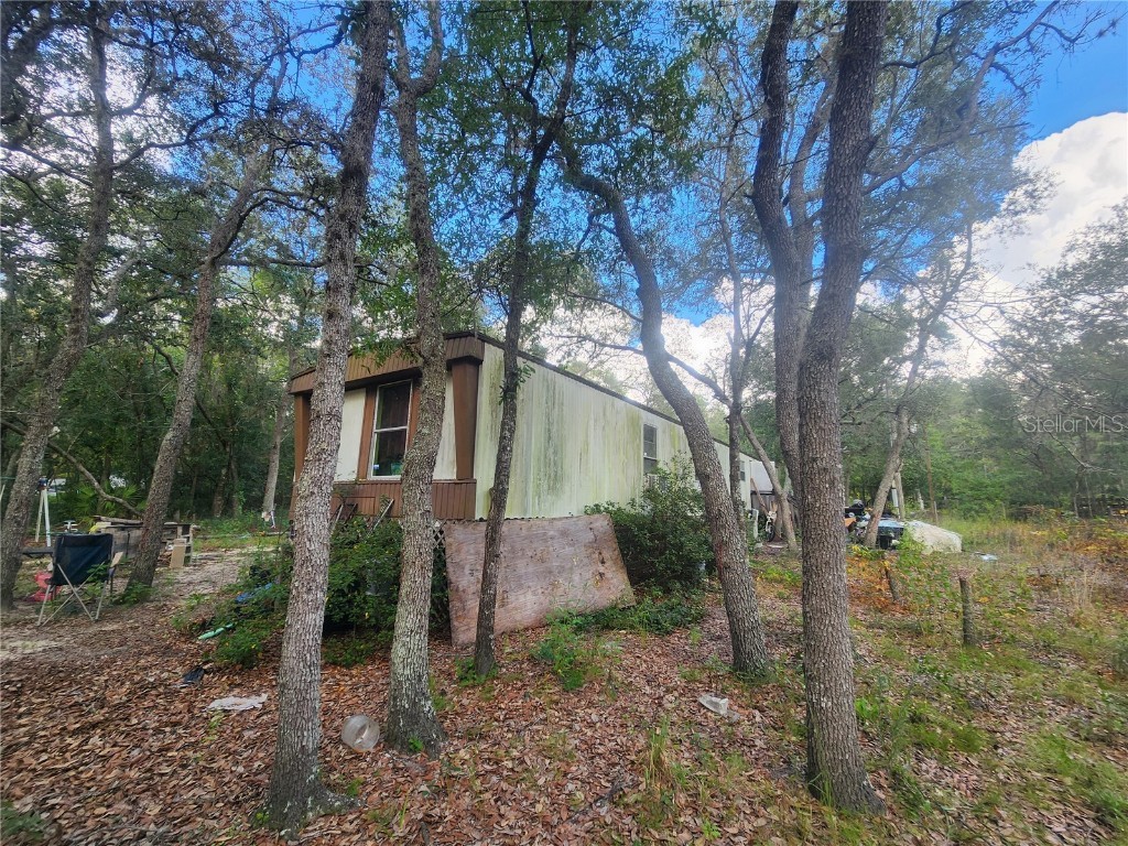 217 Lakeview Drive Melrose FL 32666 - HALFMOON LAKE OM710654 image9