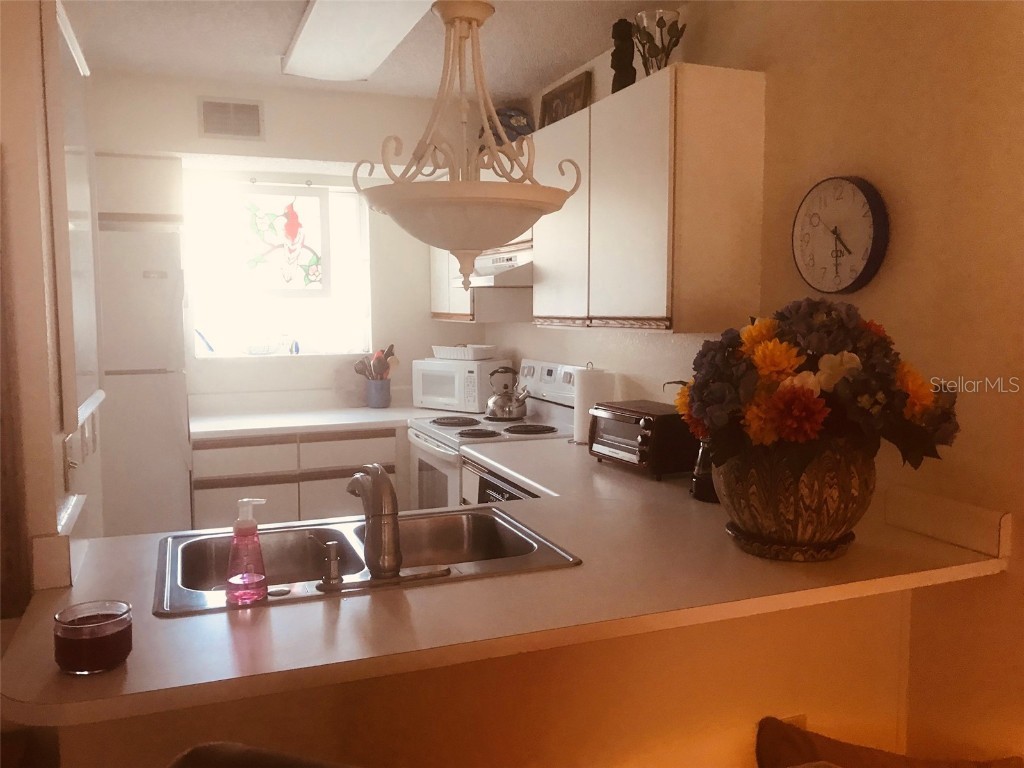 217 Ocean Park Lane #V49 Cape Canaveral FL 32920 O6164809 image6