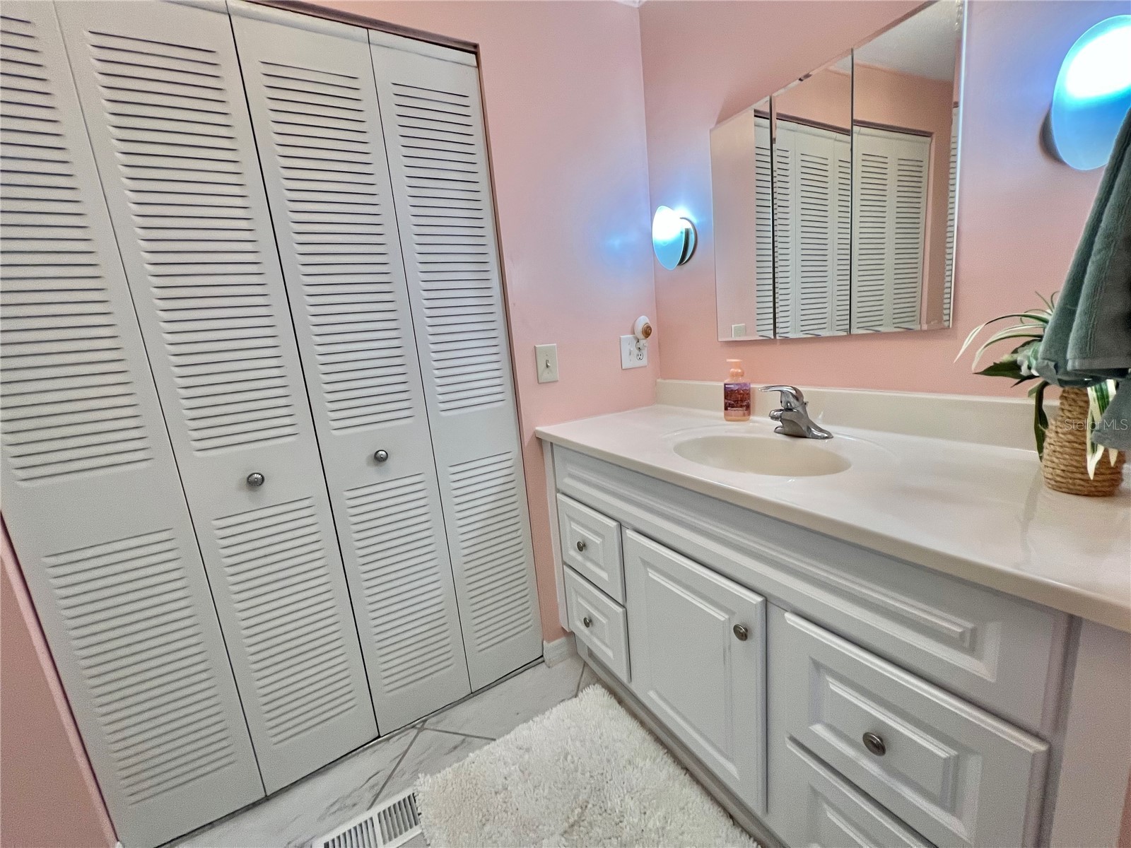 217 Palo Verde Drive Leesburg FL 34748 G5108306 image23
