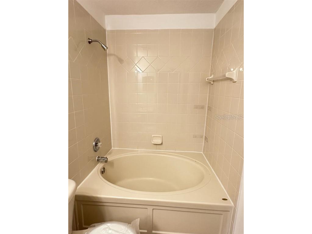 217 Penmark Stone Place Valrico FL 33594 O6358761 image2