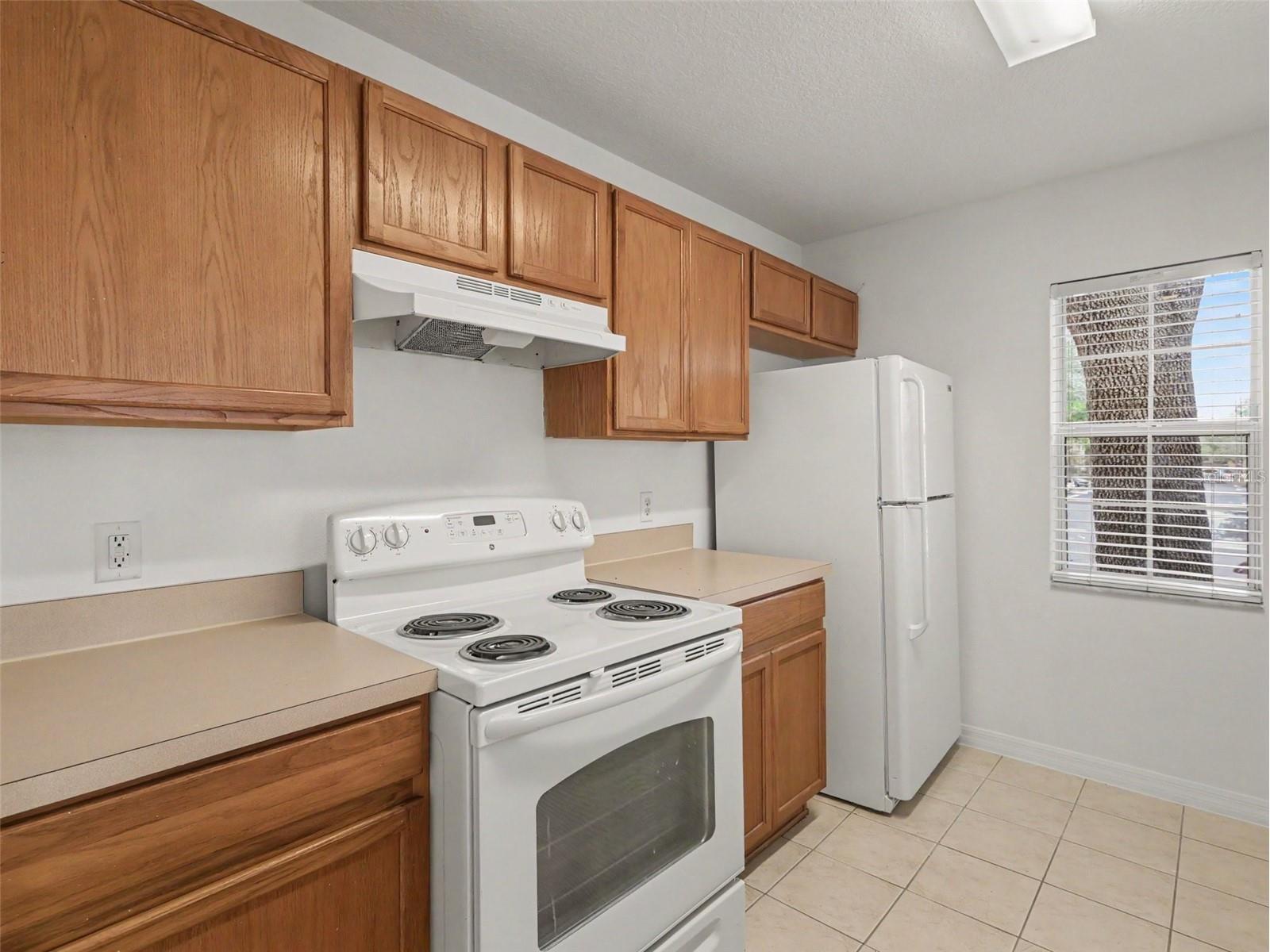 217 Penmark Stone Place Valrico FL 33594 TB8522637 image12