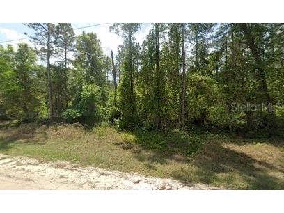 217 Plumosa Drive Georgetown FL 32139 O6171374 image1