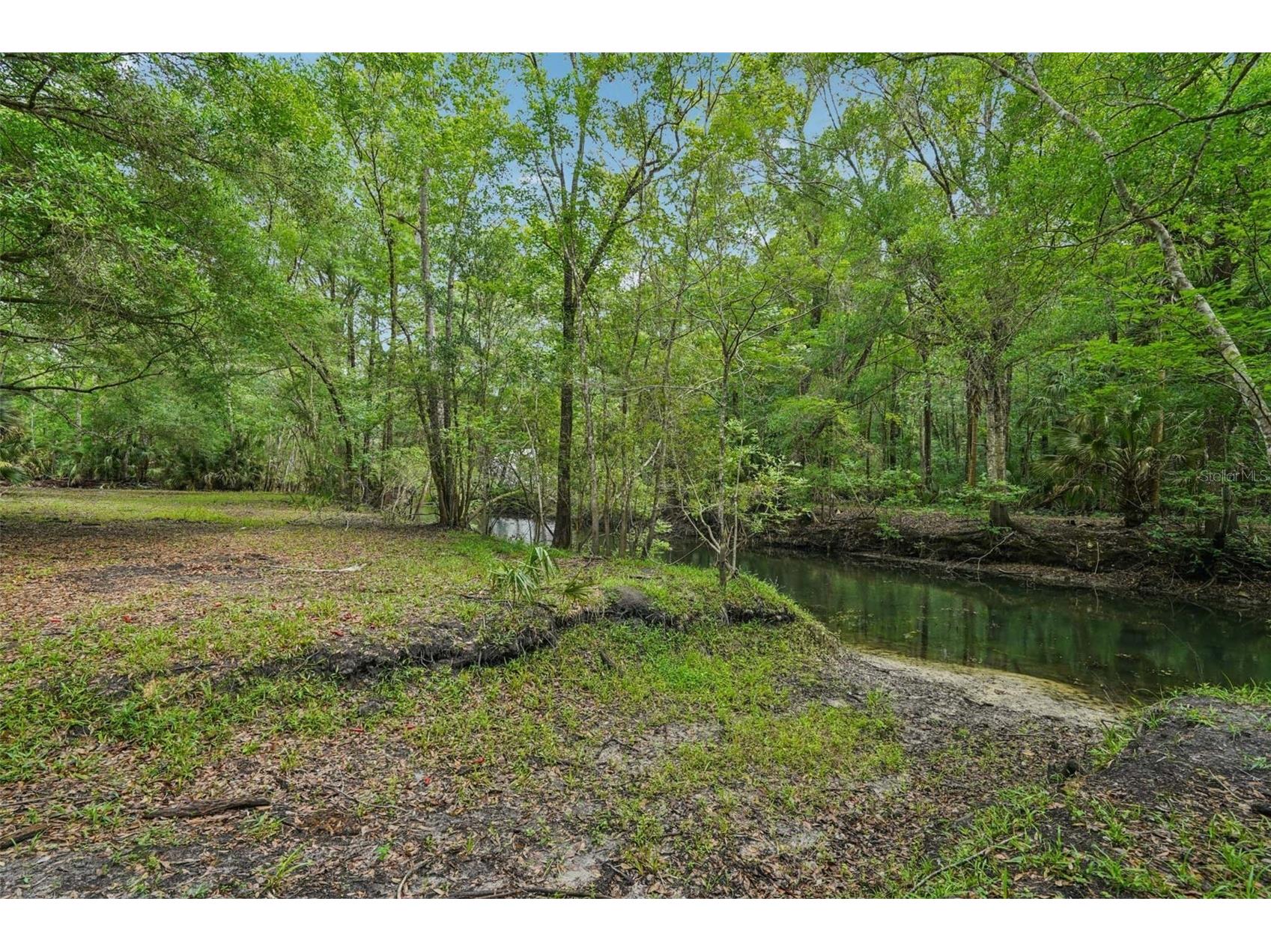 217 S Tuck Point Inverness FL 34450 TB8495936 image4