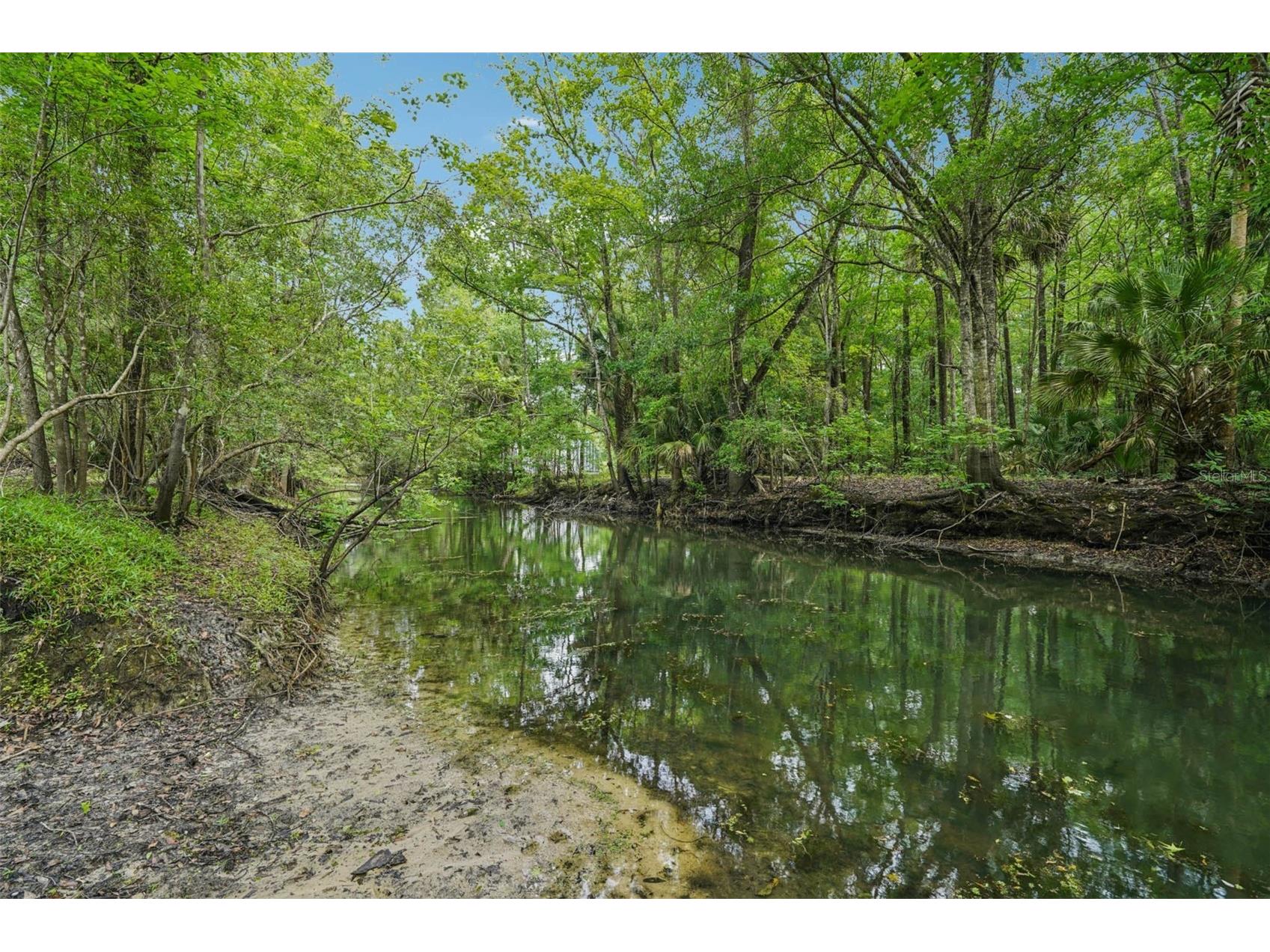 217 S Tuck Point Inverness FL 34450 TB8495936 image5