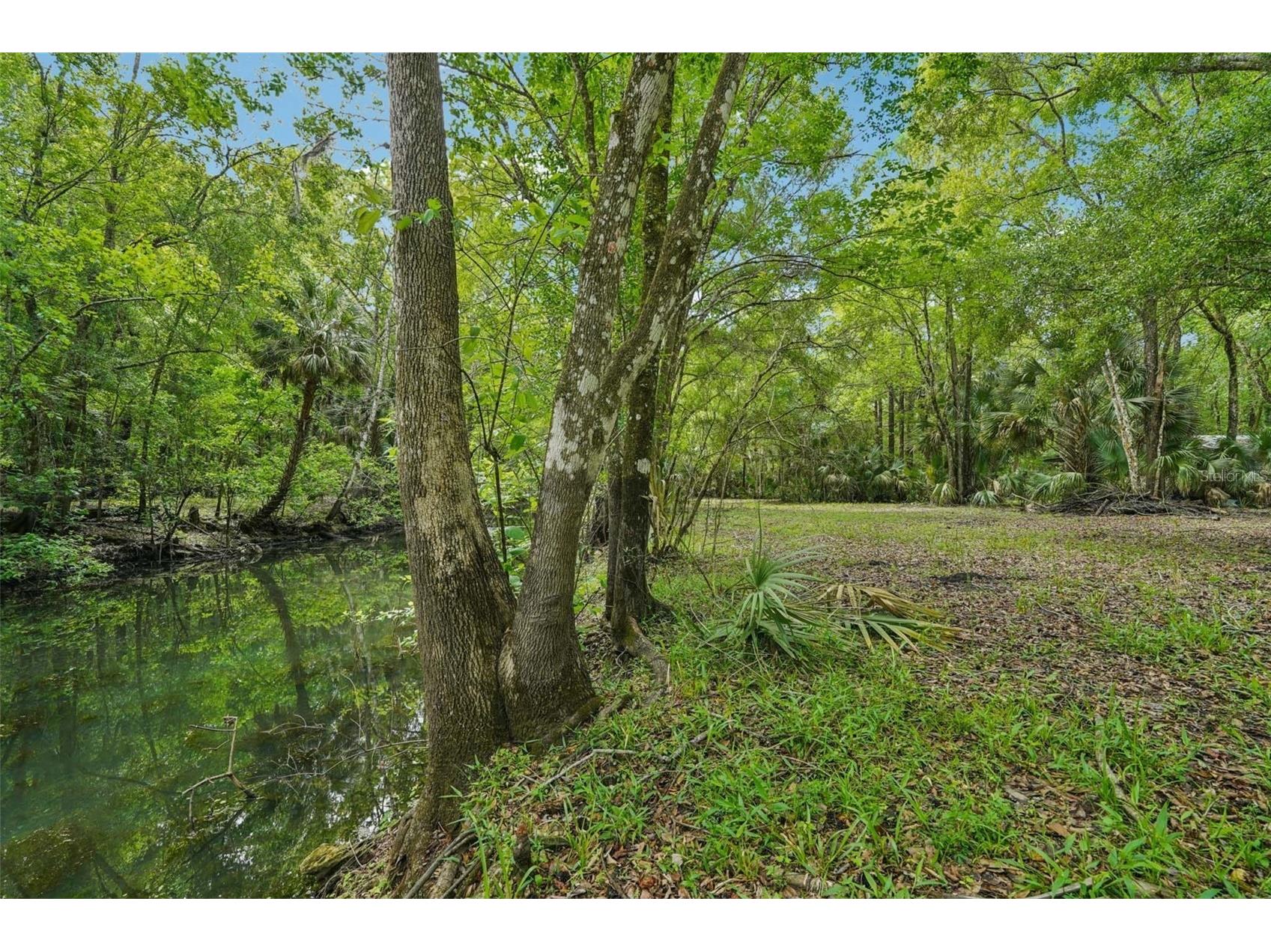 217 S Tuck Point Inverness FL 34450 TB8495936 image6