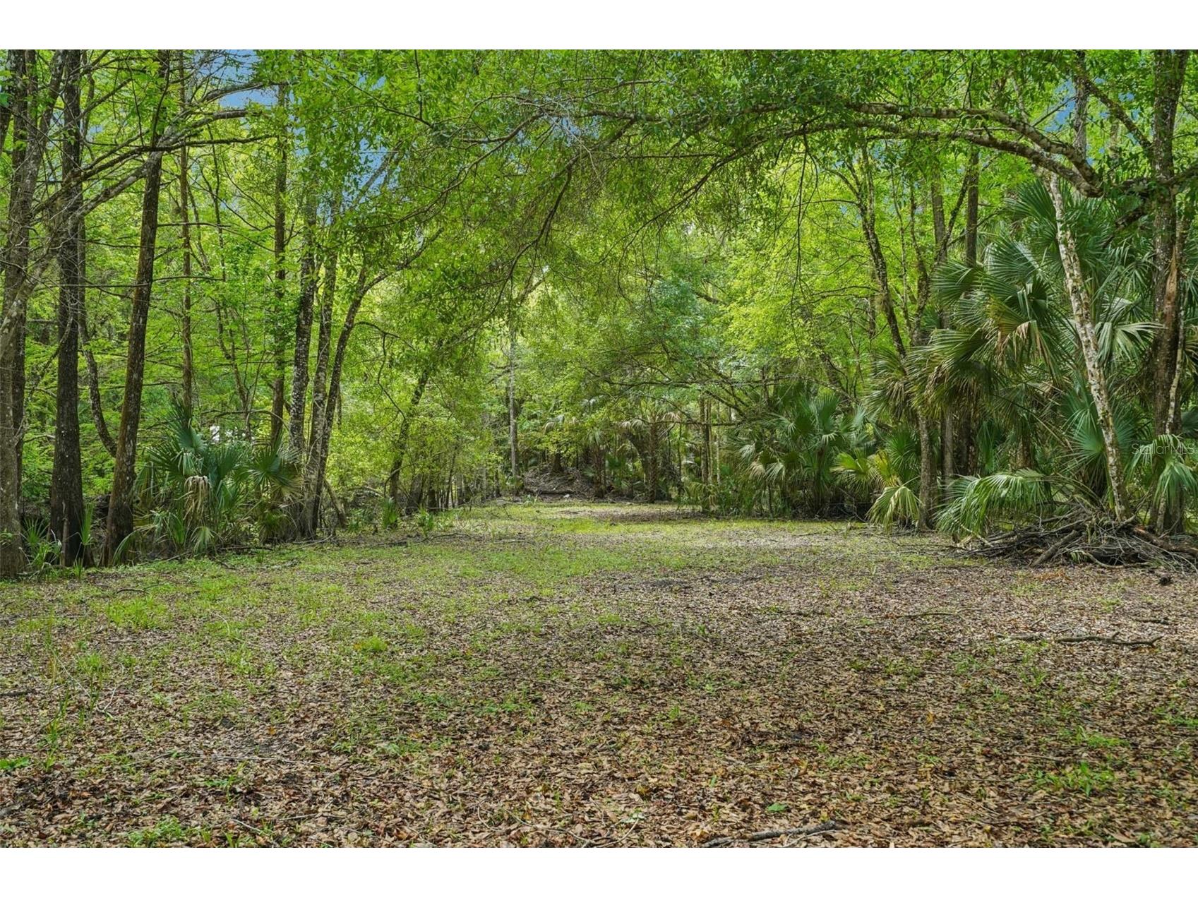 217 S Tuck Point Inverness FL 34450 TB8495936 image7