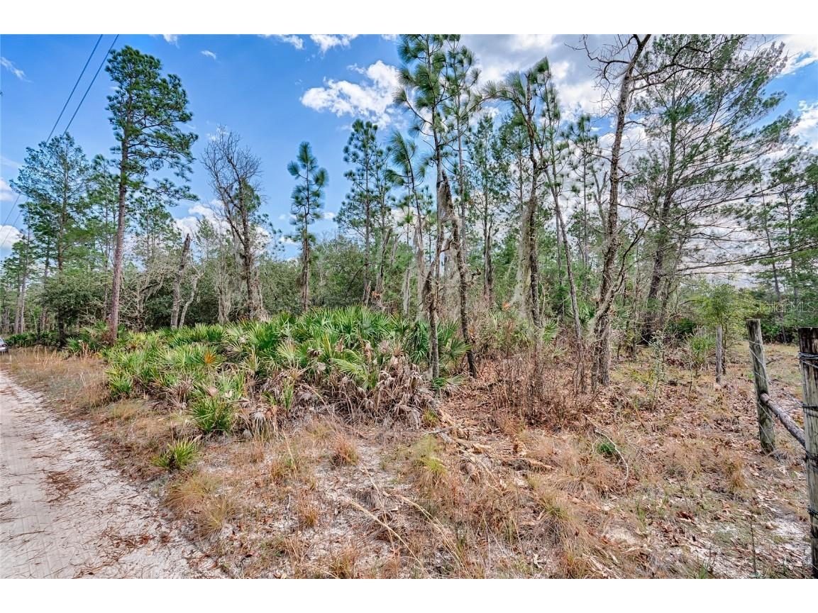 217 Saddleback Trail Palatka FL 32177 GC511289 image1
