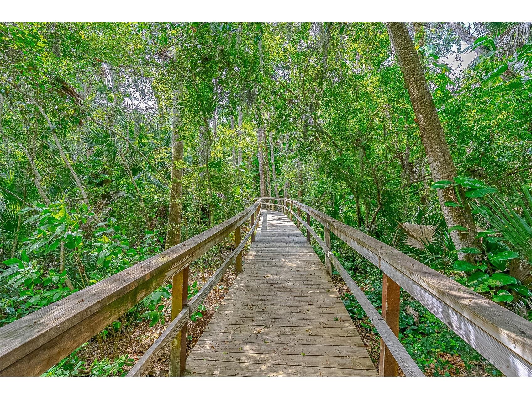 217 Schooner Avenue Edgewater FL 32141 FC316914 image50