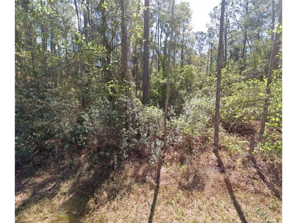 217 SE 2nd Street Georgetown FL 32139 O6322599 image1