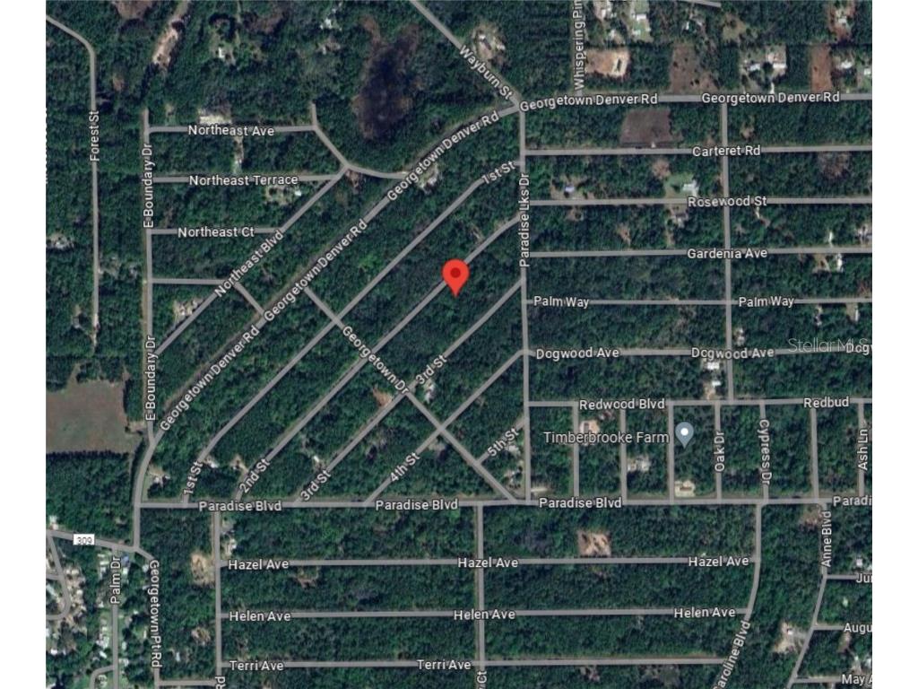 217 SE 2nd Street Georgetown FL 32139 O6322599 image10