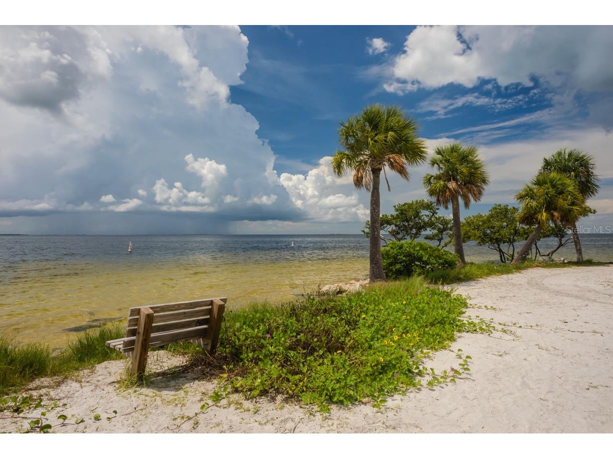 217 Seagull Drive Tarpon Springs FL 34689 TB8431973 image49