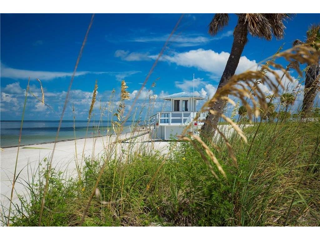 217 Seagull Drive Tarpon Springs FL 34689 TB8431973 image51