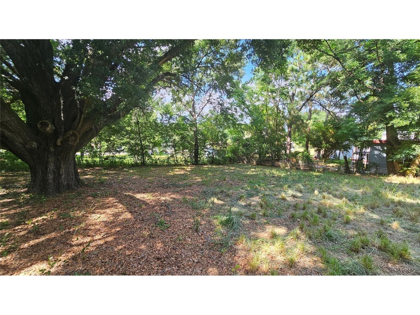 217 Skyline Drive Lady Lake FL 32159 G5083131 image1