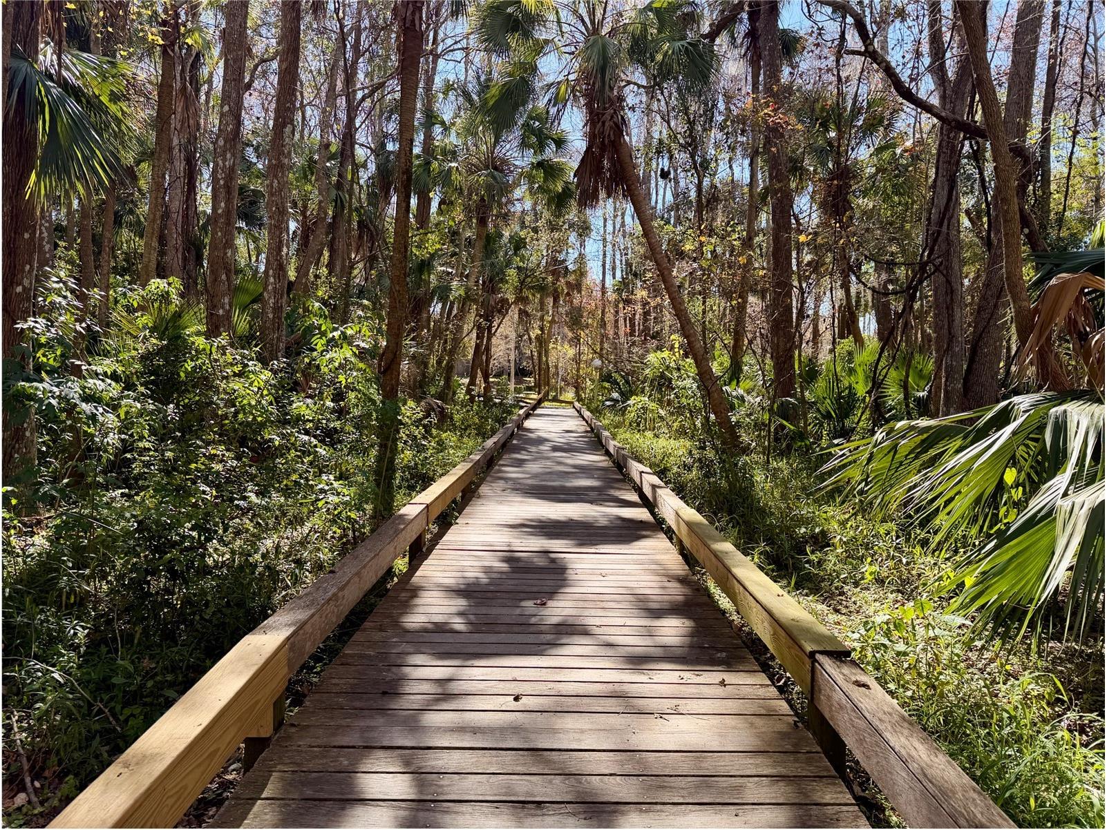 217 Tomoka Trail #217 Longwood FL 32779 O6376759 image59