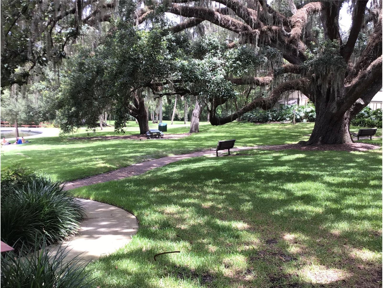 217 Tomoka Trail #217 Longwood FL 32779 O6376759 image69