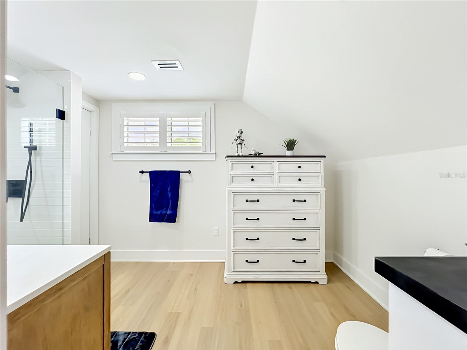217 W Bay Street Winter Garden FL 34787 - LAKE APOPKA S5149527 image55