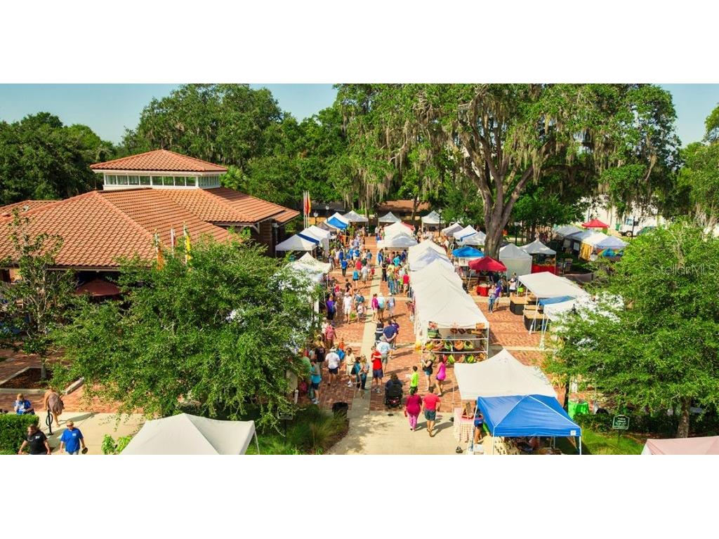 217 W Bay Street Winter Garden FL 34787 - LAKE APOPKA S5149527 image79