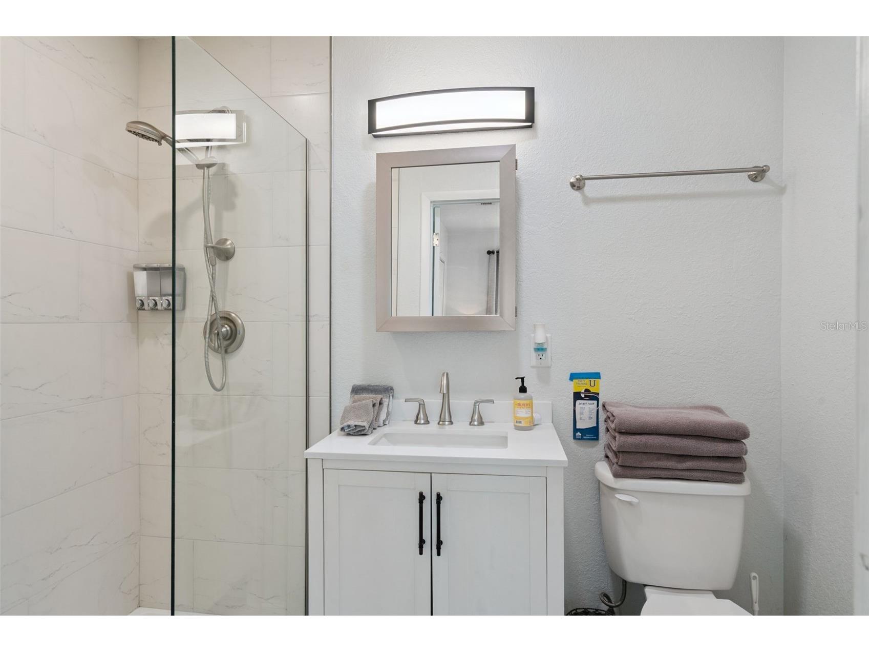 217 W Story Road Winter Garden FL 34787 O6417750 image13