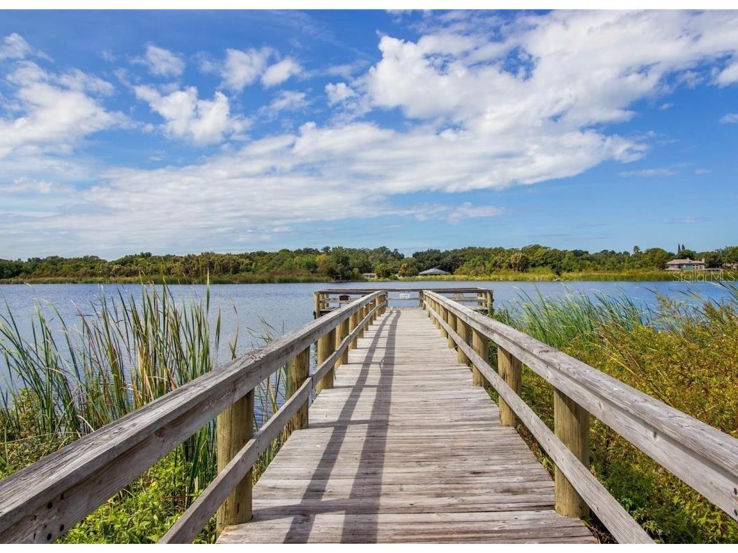 2170 Americus Boulevard N #47 Clearwater FL 33763 TB8447976 image41