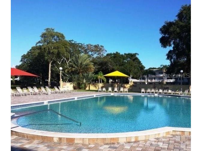 2170 Americus Boulevard N #47 Clearwater FL 33763 TB8447976 image52