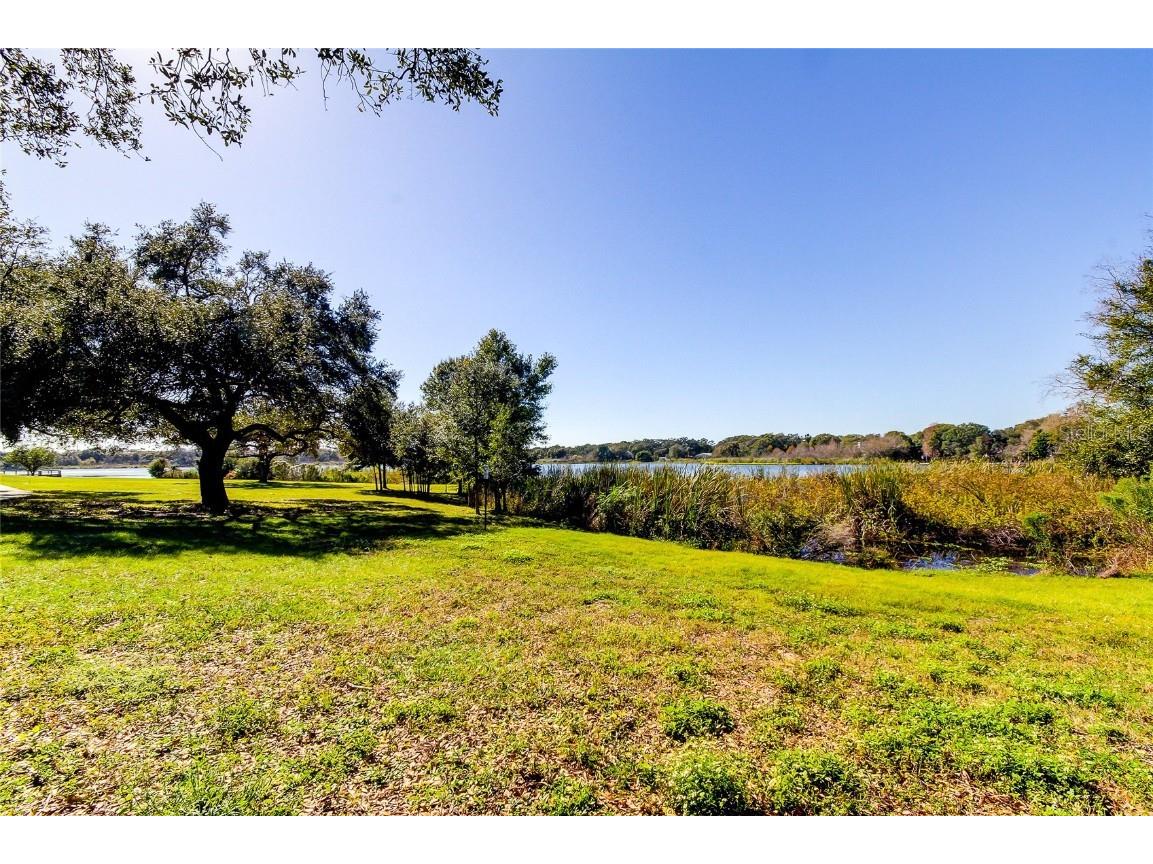 2170 Americus Boulevard N #64 Clearwater FL 33763 TB8442184 image40