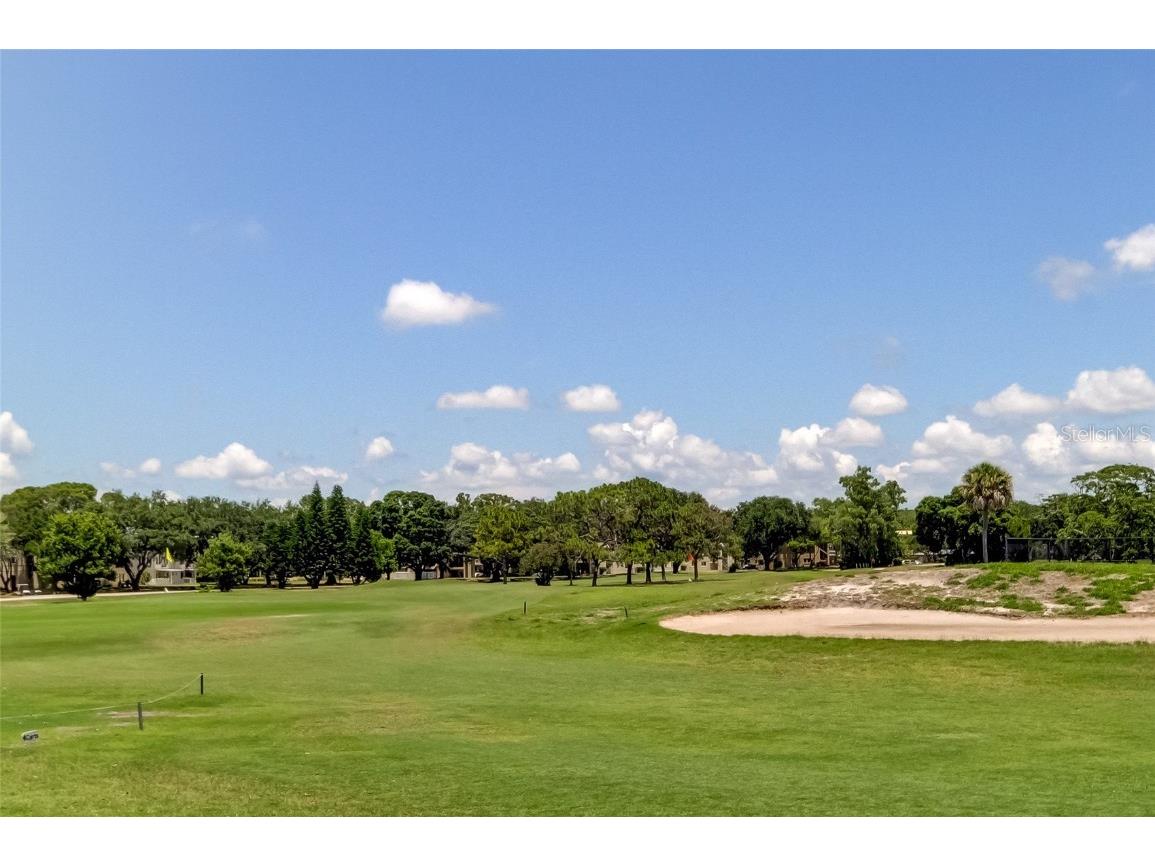 2170 Americus Boulevard N #64 Clearwater FL 33763 TB8442184 image55