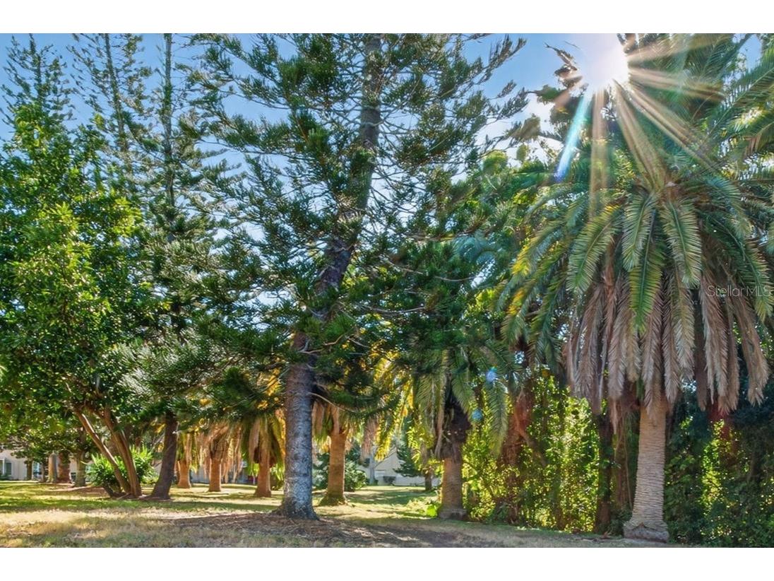 2170 Americus Boulevard N #70 Clearwater FL 33763 TB8448048 image39