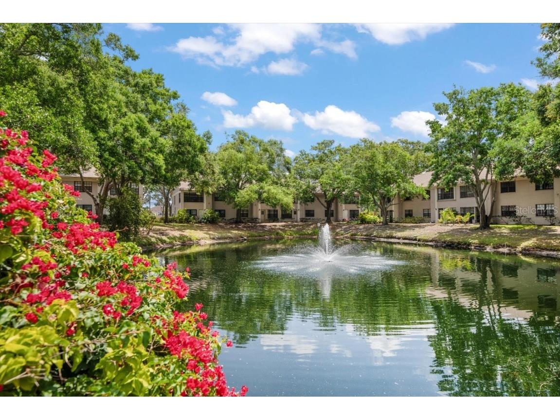 2170 Elm Street #906 Dunedin FL 34698 TB8380435 image2