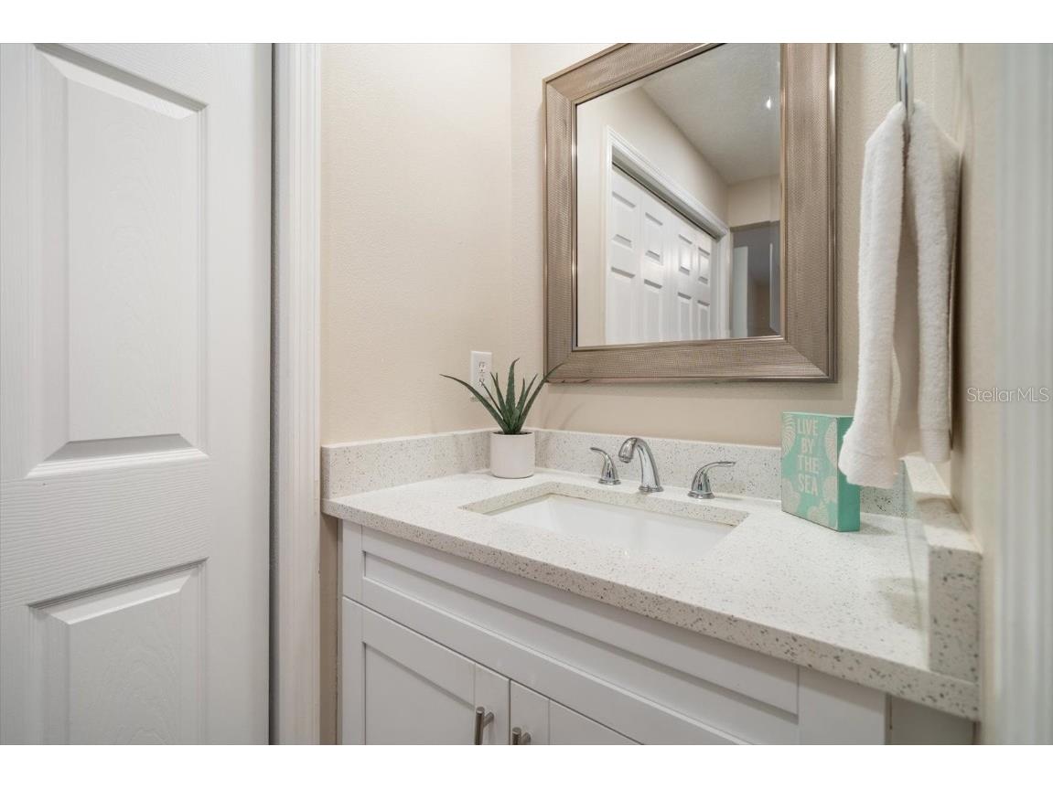 2170 Elm Street #906 Dunedin FL 34698 TB8380435 image24