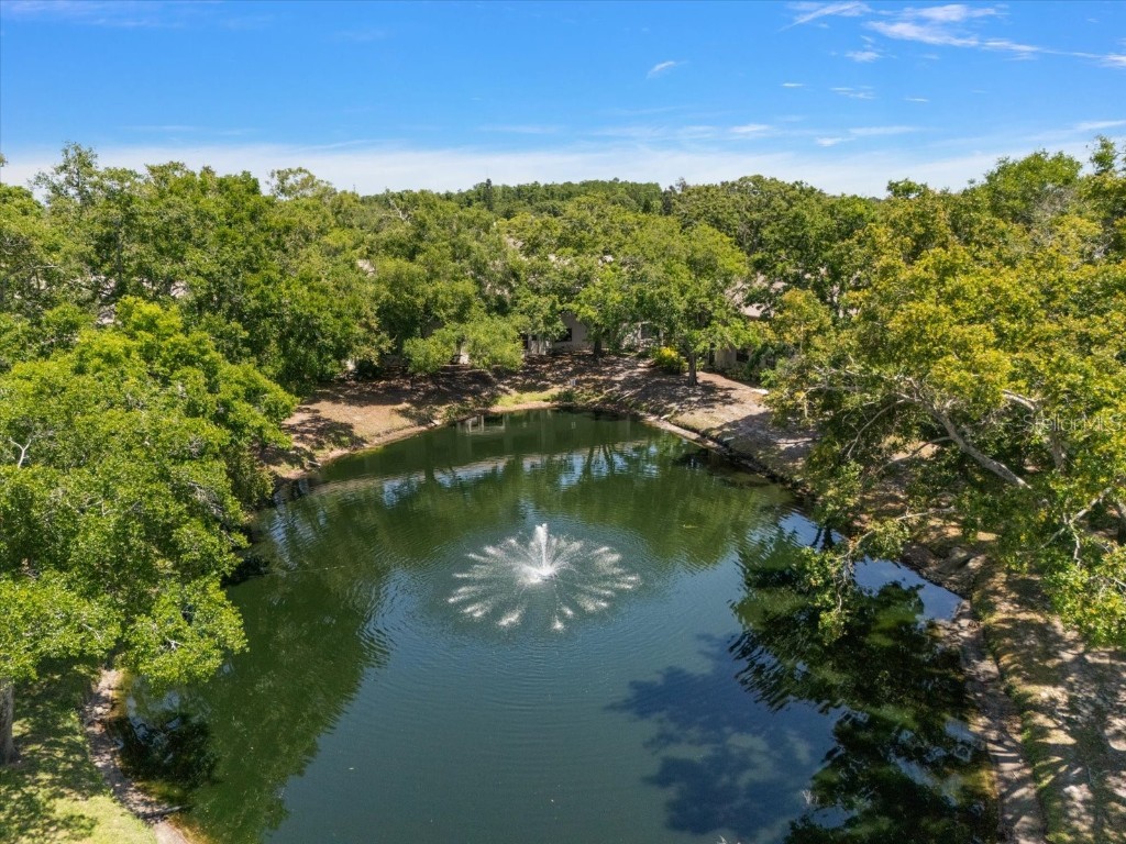 2170 Elm Street #906 Dunedin FL 34698 TB8380435 image41