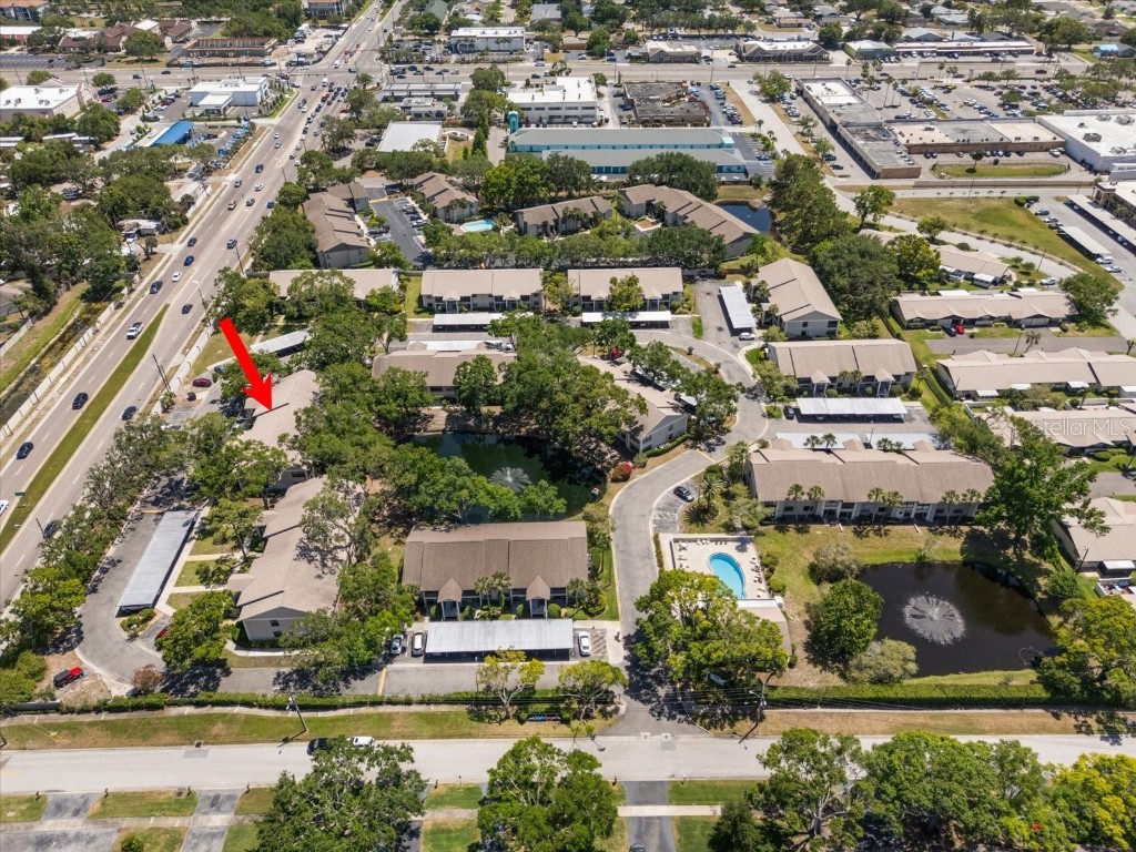 2170 Elm Street #906 Dunedin FL 34698 TB8380435 image45