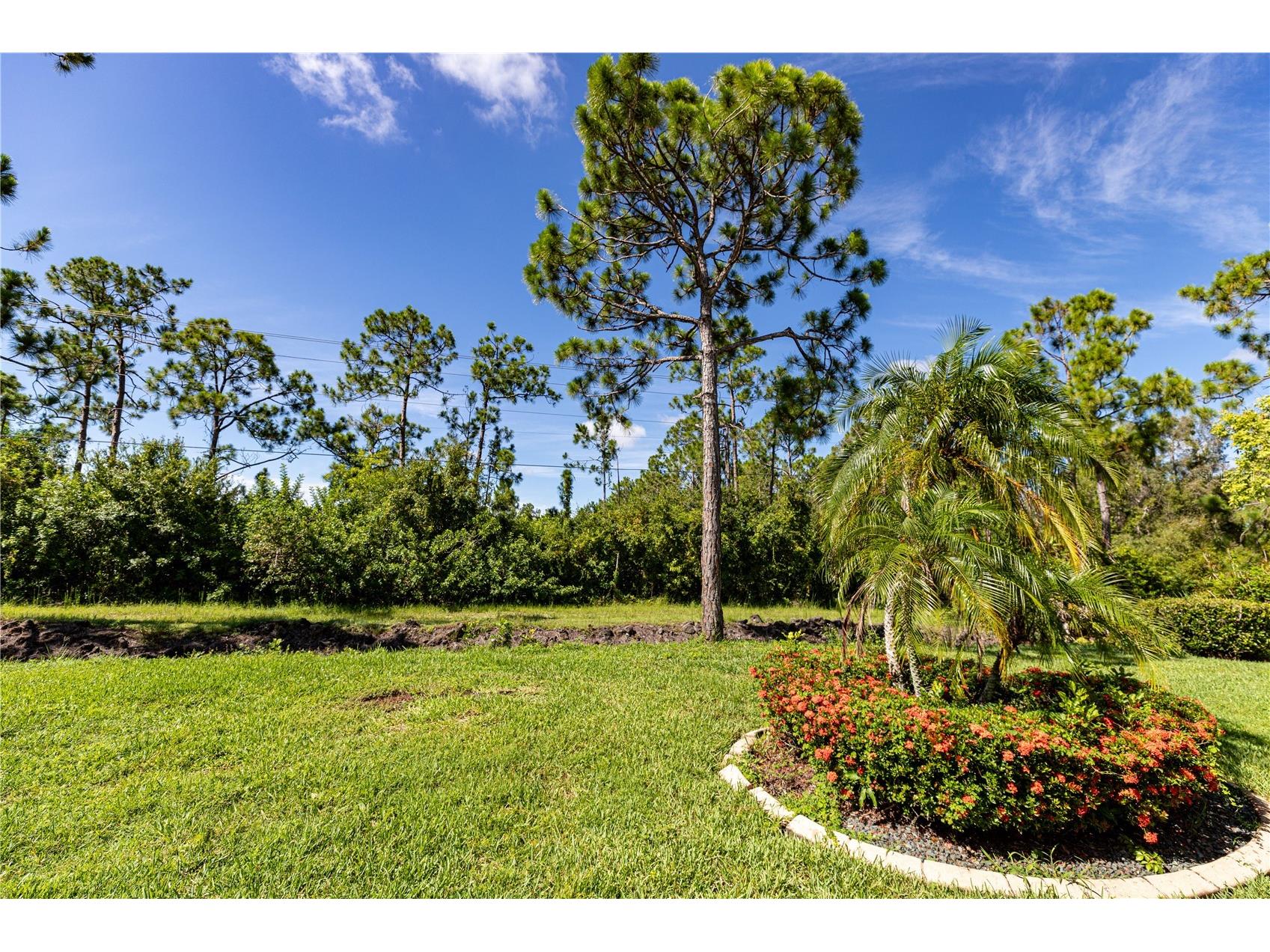 2170 Faliron Road North Fort Myers FL 33917 C7521557 image2