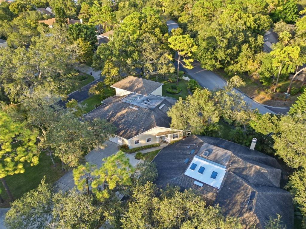 2170 Oak Forest Lane Palm Harbor FL 34683 TB8447765 image31