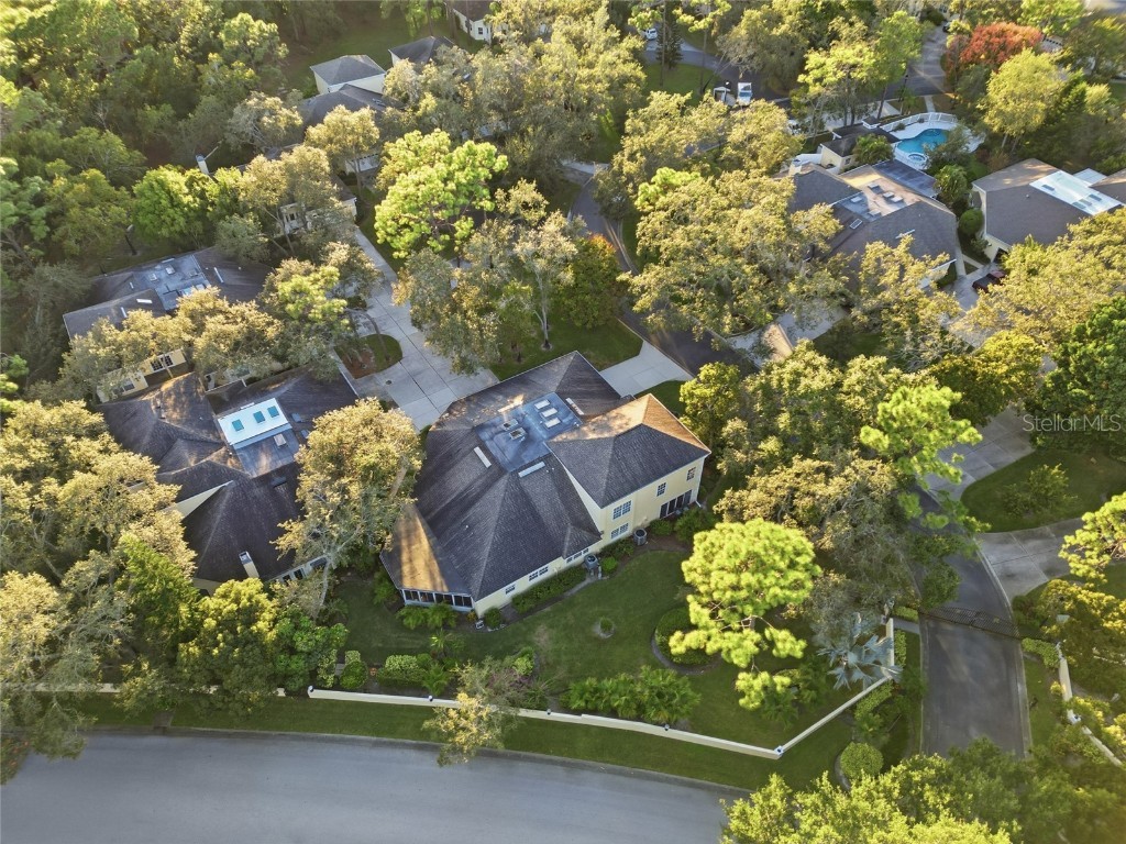 2170 Oak Forest Lane Palm Harbor FL 34683 TB8447765 image32