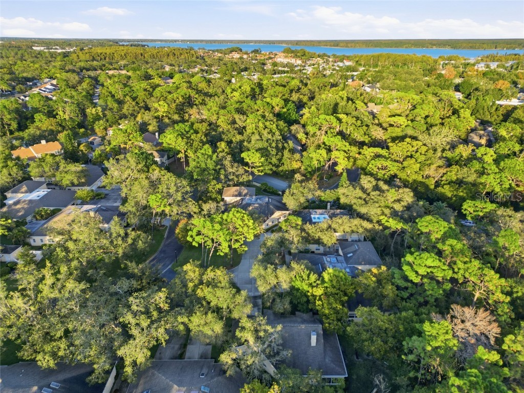 2170 Oak Forest Lane Palm Harbor FL 34683 TB8447765 image33