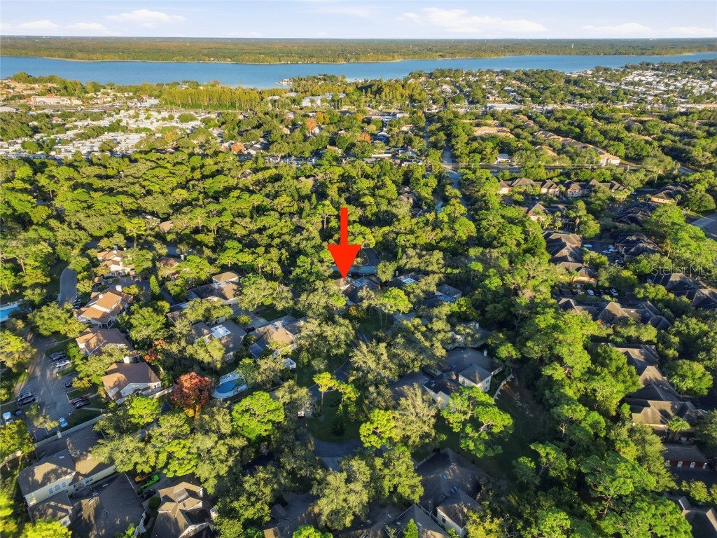 2170 Oak Forest Lane Palm Harbor FL 34683 TB8447765 image35