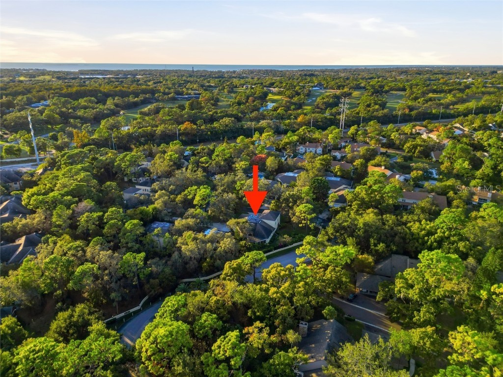 2170 Oak Forest Lane Palm Harbor FL 34683 TB8447765 image36