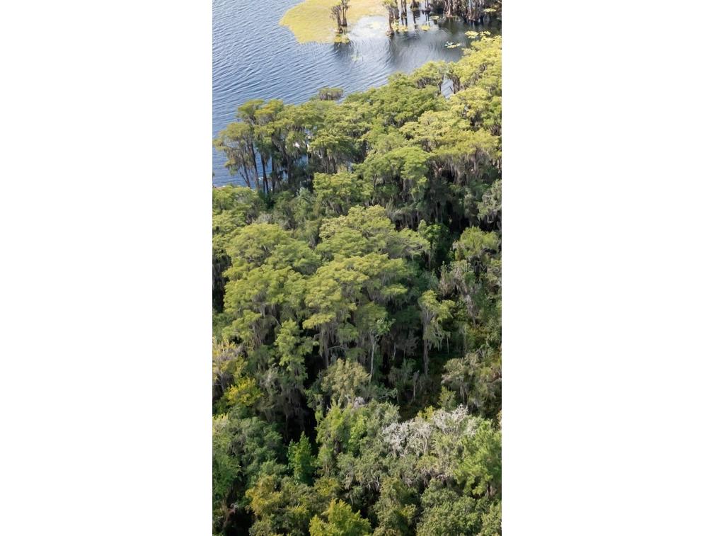 21707 NE 115th Avenue Earleton FL 32631 GC534004 image1