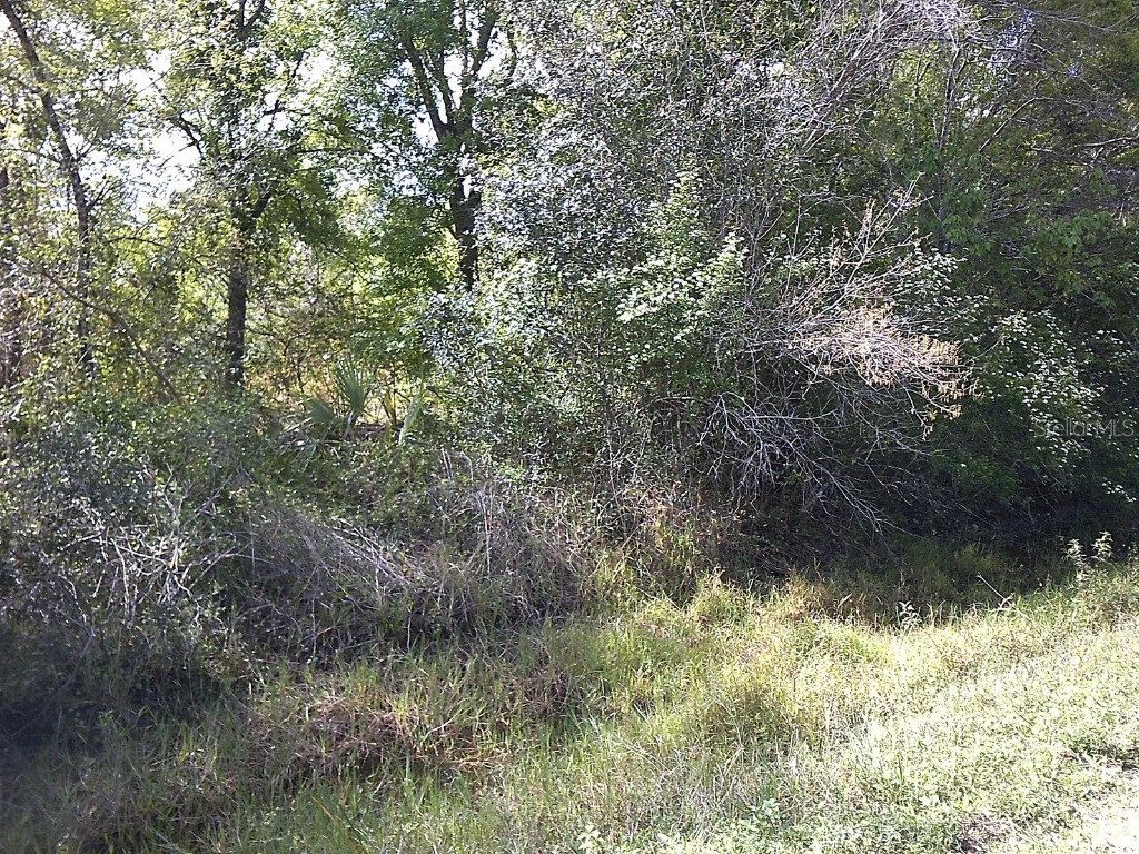 21708 NW 256th Street Okeechobee FL 34972 OK222456 image1