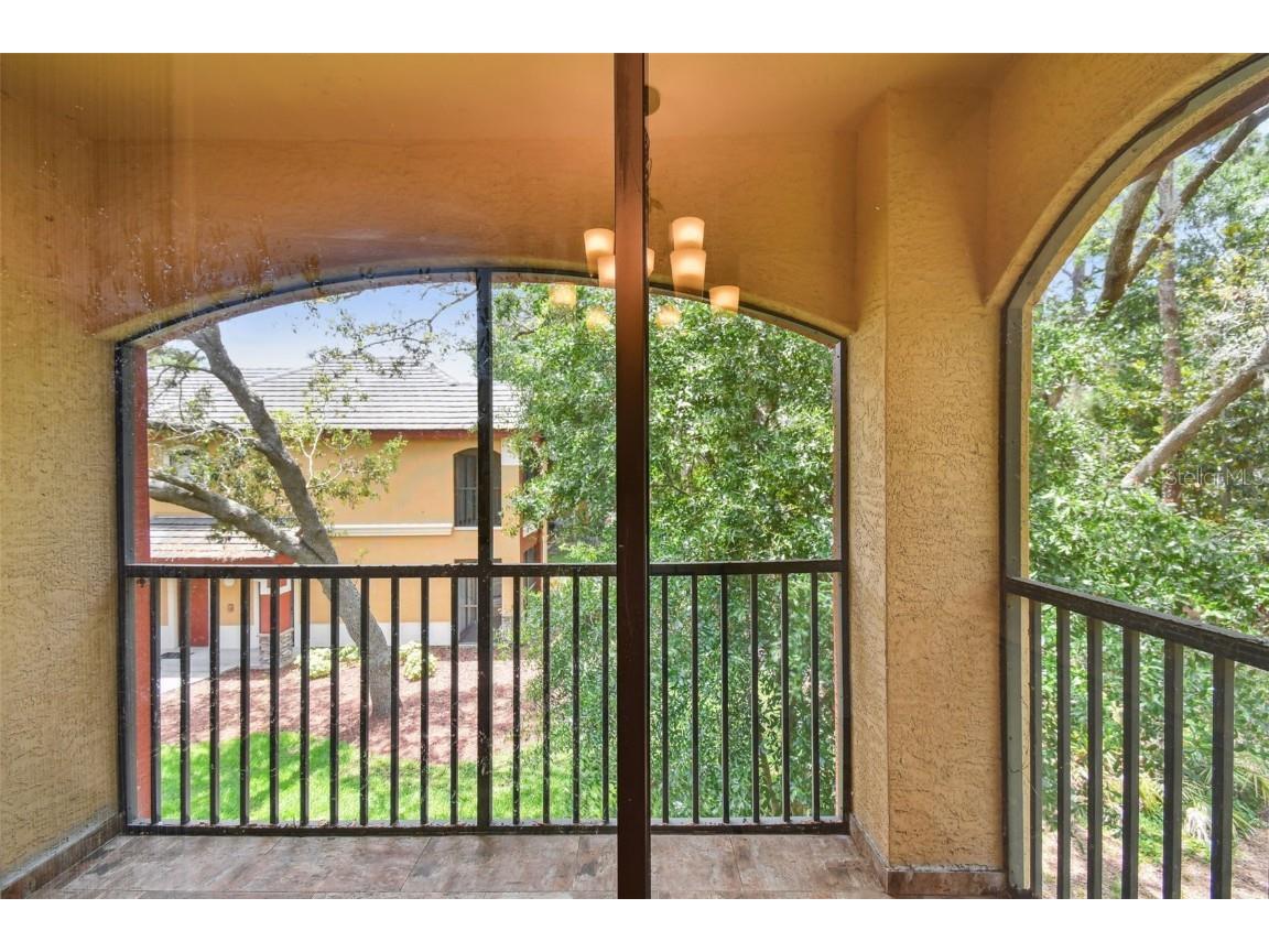 2171 Portofino Place #27-2725 Palm Harbor FL 34683 TB8394889 image33