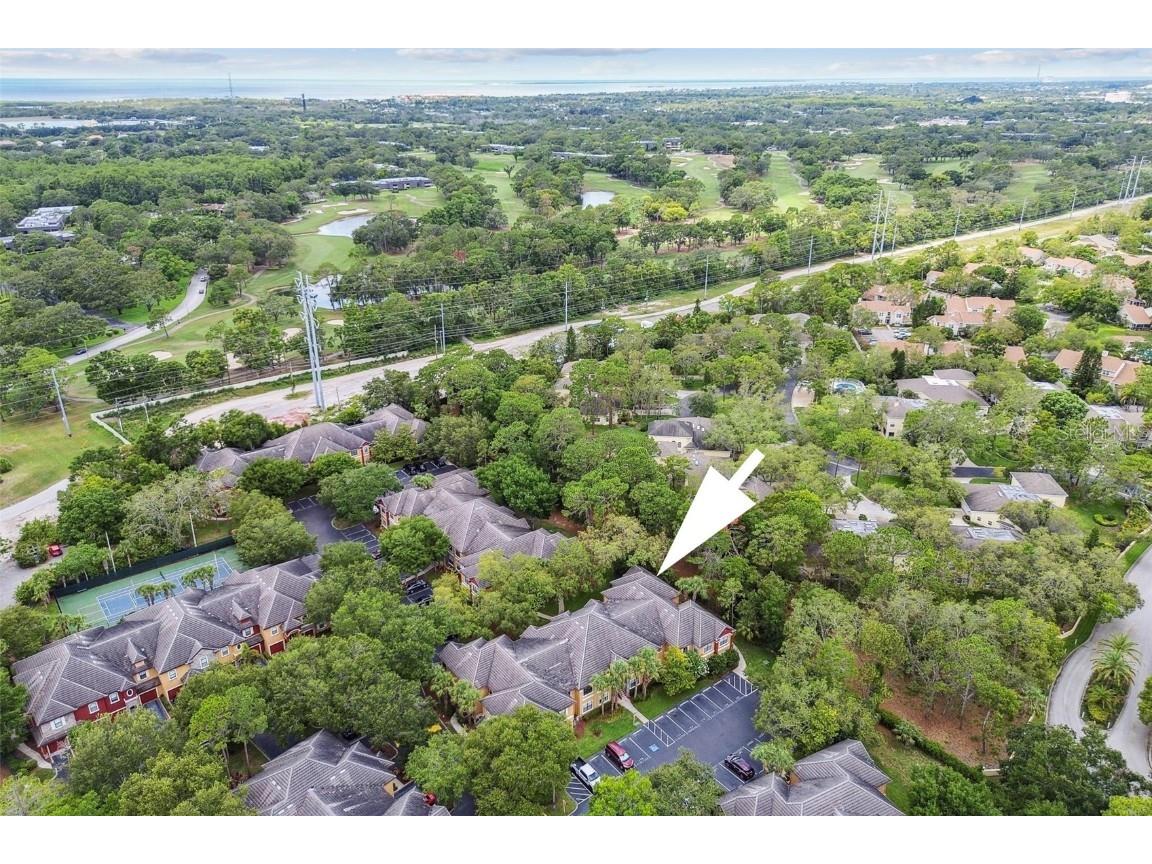 2171 Portofino Place #27-2725 Palm Harbor FL 34683 TB8394889 image48