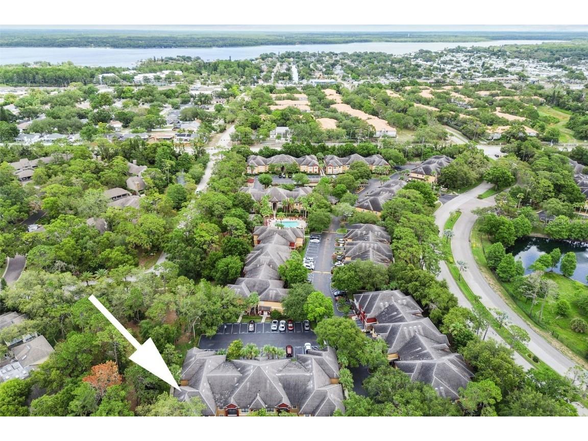 2171 Portofino Place #27-2725 Palm Harbor FL 34683 TB8394889 image49