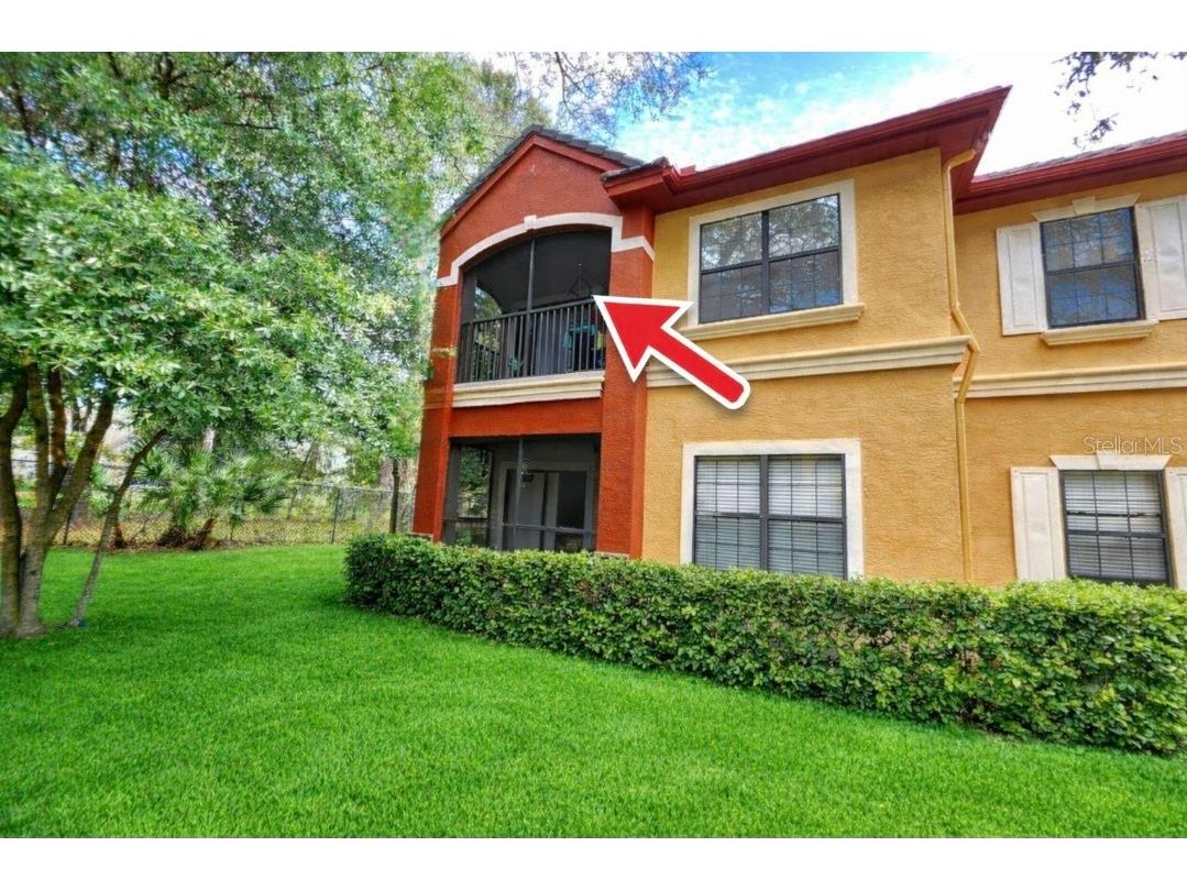 2171 Portofino Place #27-2725 Palm Harbor FL 34683 TB8496890 image4