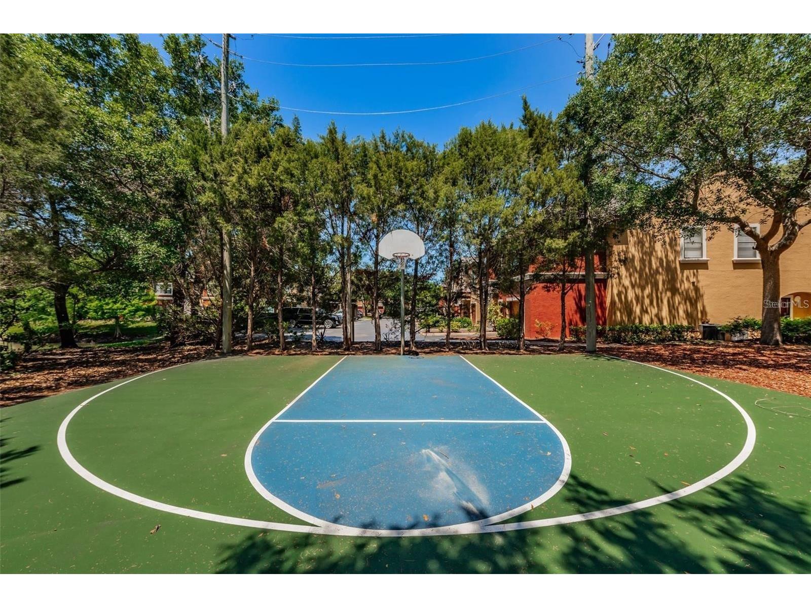 2171 Portofino Place #27-2725 Palm Harbor FL 34683 TB8496890 image68