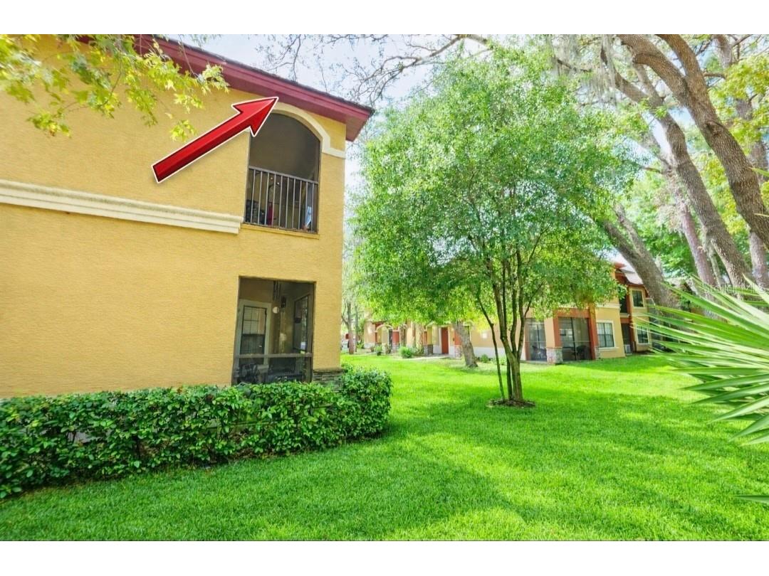 2171 Portofino Place #27-2725 Palm Harbor FL 34683 TB8496890 image79